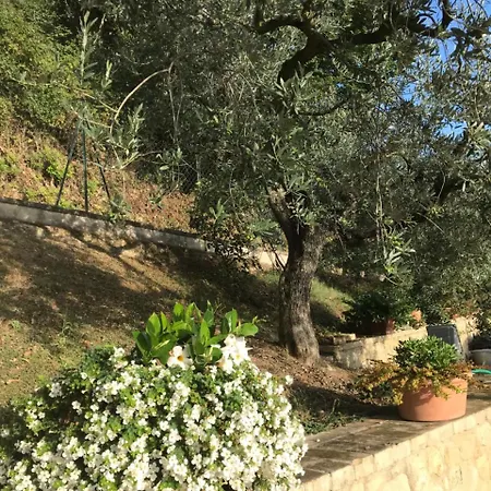 Vecciano * Montefalco