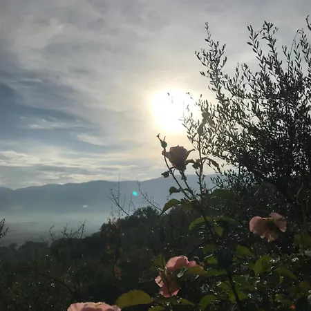 Vecciano